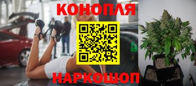 прущие грибы Партизанск
